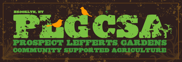 Prospect Lefferts Gardens Community Supported Agriculture